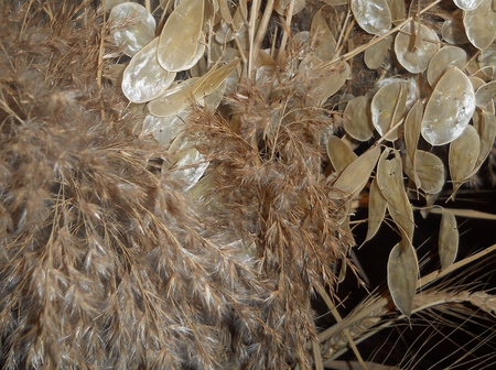 composition - dead, leafs, nature, brown