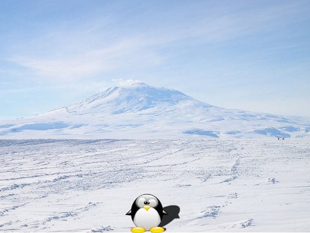 Tux In Antartica - antartica, tux