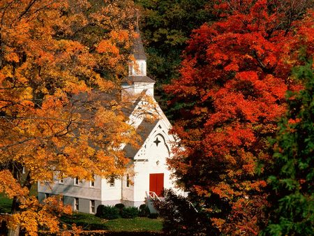 Little white church in autumn - autumn, trees, white church, gold, other, nature, orange, architecture, vermont, small, peaking color, religious