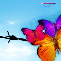 The Butterfly Effect