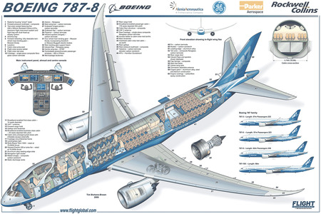 Boeing 787 - 787, boeing, new aircraft, cutaway