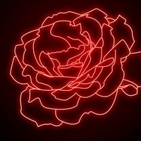 neon rose 