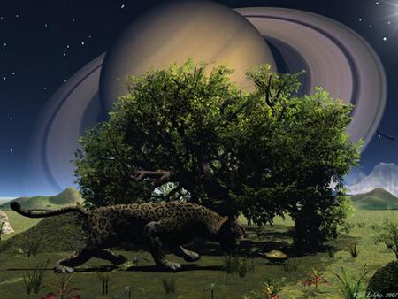 Leopard - nature, sky, leopard, planets, trees, animals, space