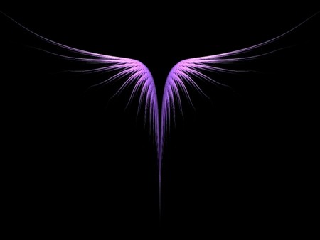 touch of Wings - abstract, 3d, pink, wings