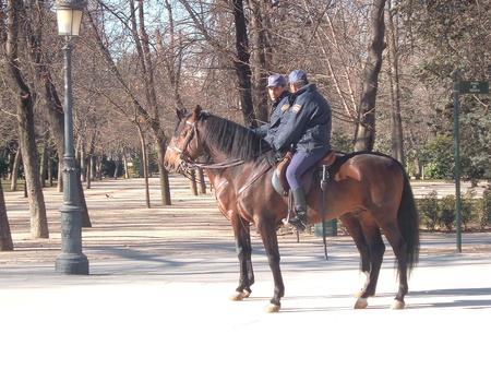 National Police Horses - spain, police horses, horses, animals, policia, police, caballos policia