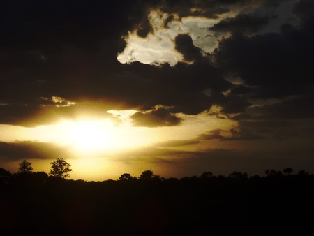 sunset - sky, sunsetm tree, nature, black