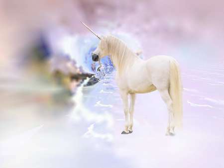 White Unicorn - fantasy, white, unicorn, other