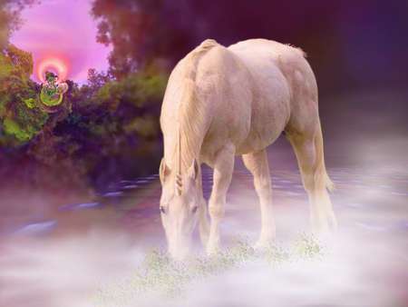 Pink Sunset - pink, sunset, fantasy, unicorn, other