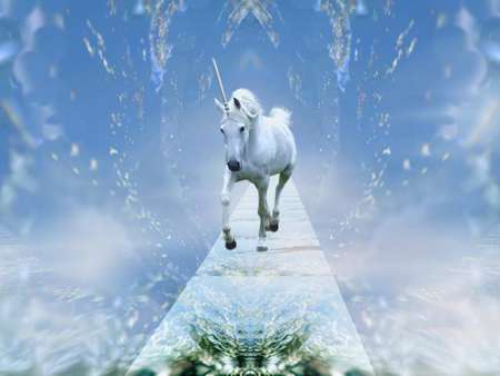 Sky Bridge - fantasy, unicorn, sky, other