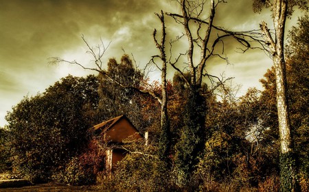 Fall - nature, sky, fall, landscape, tree, house