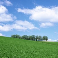 Summer, Japan