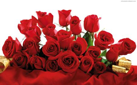 red on red - red, roses, beautiful, table, still life, arrangement