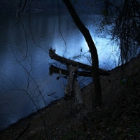 reflecting moon light on the river