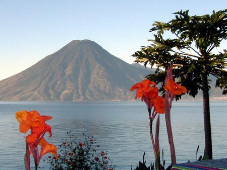 Atitlan, Guatemala - lake, flower, guatemala, atitlan, mountain