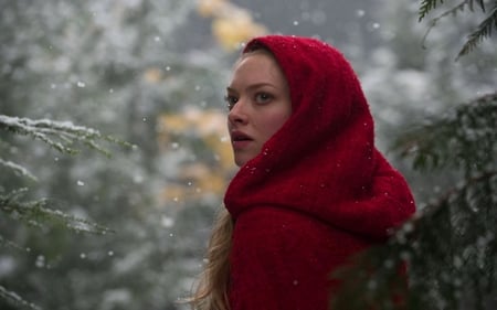 BEAUTY WITH VEIL - veil, hood, costume, fairytale, red, movie, little, riding, character