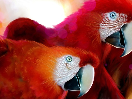 Andonia - red, parrot, sweet, friends, cute, birds