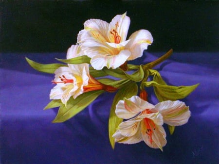 Lilies for JACQELINEla - white, yellow, red, lillies, three, blue background