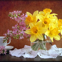 For Anca lilacs and daffodils