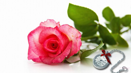 Time for Rose - floral, red, clock, watch, firefox persona, time, rose, flower