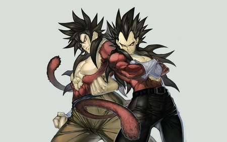 Goku and Vegeta - dark hair, tail, ssj 4, evil, goku, power, vegeta, dragonball, cool, anime, saiyan