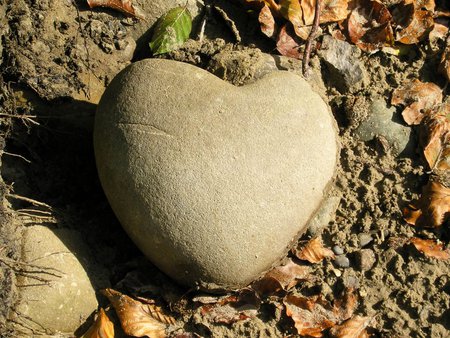 Heart of Stone - stone, nature, leaves, rock, roots, stones, mud, natural