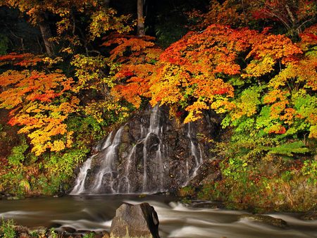 The Forest in Autumn - season, cascade, water, waterfall, rocks, fall, yellow, orange, green, rock, stone, moss, colour, flowing, red, leaves, stones