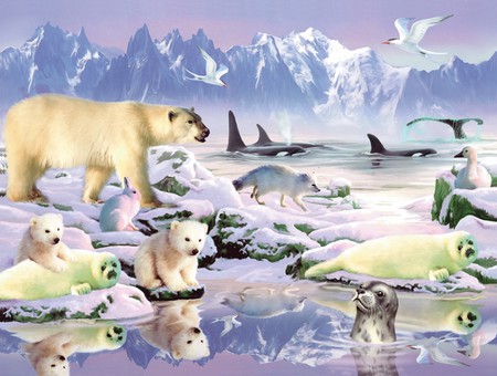 ARCTIC - ice, bears, animals, mountains, artic, reflection, snow, polar, birds