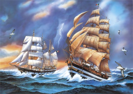 STORMY SAILS - sky, ocean, ships, waves, sails, clouds, lightning, stormy, birds