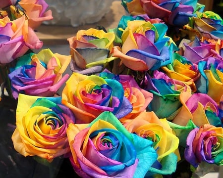 Rainbow roses - roses, yellow, blue, beauty, flowers, colours, rainbow, purple, green