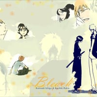 Bleach Ichigo & Rukia