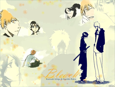 Bleach Ichigo & Rukia - kurosaki, kuchiki, rukia, bleach, ichigo