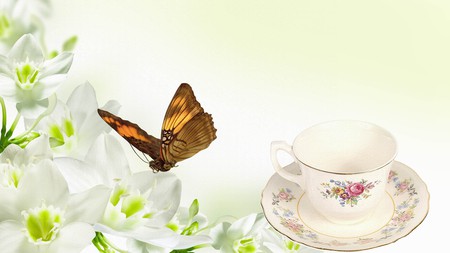 Elegance in White - coffee, butterfly, floral, lily, tea, flowers, firefox persona, cup