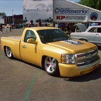 GOLD CHEVY PUP