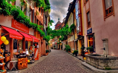 Beautiful Place - colorful, balloon, road, view, yellow, grass, germany, building, buildings, stores, nature, shops, beautiful, market, beauty, street, sky, trees, photography, peaceful, water, greenery, fountain, balloons, store, cobble stones, clouds, architecture, green, house, houses, vases, lovely, plants, vase, shop, picture, town, grocery, red, city, colors, streets