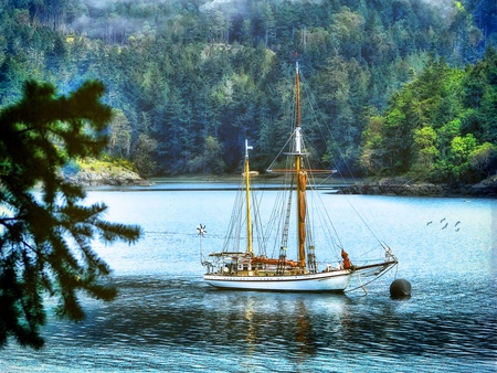 Lovely View - beauty, trees, sailboats, paradise, peaceful, water, mountains, view, green, birds, boat, ocean, landscape, boats, sailing, lovely, nature, woods, forest, beautiful, leaves, splendor, sailboat, sea