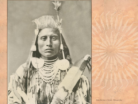 Chief Medicine Crow - native american, crow, leader, chief, medicine