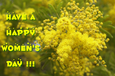 Happy Women's Day! - popular, photography, women day, nature, abstract, yellow, wish, flowers, photo, 8 march