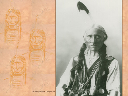 White Buffalo - native american, indian, white buffalo, chief, leader