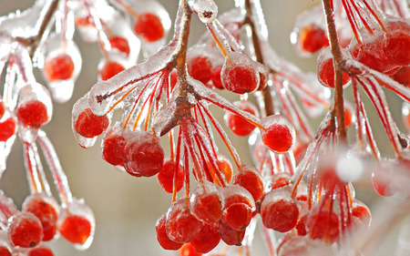 In the glass - ice, nature, red, rain, cataclysm, forces of nature