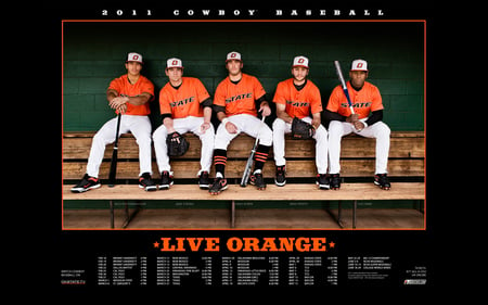 Oklahoma State baseball 2011 schedule - oklahoma state, baseball, cowboys, osu