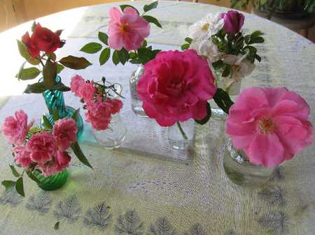 rose collection for Jasnas - collection, vases, roses, pink, table, friendship, still life