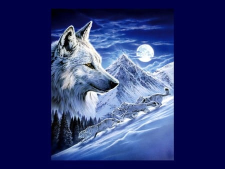 WOLF - moon, wolves, sky, clouds, blue, snow, night, mountains