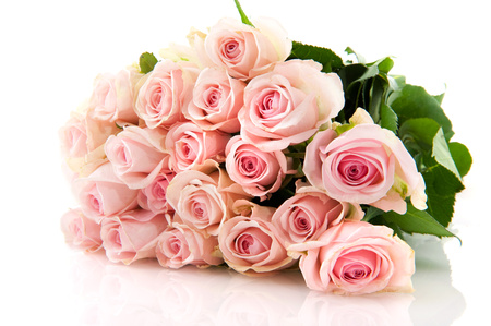 Roses - nice, roses, photography, bouquet, rose, cool, pink, beautiful, gently, flowers, flower, elegantly, harmony