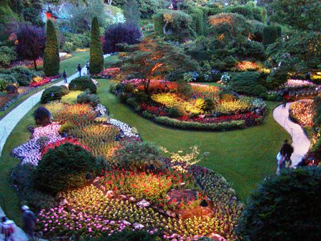 THE SUNKEN GARDEN - sunken, flowers, green, garden