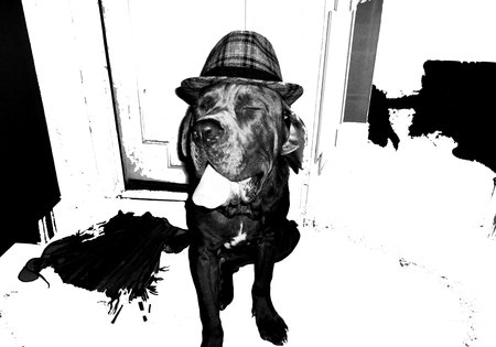 Bruno Mastiff - detective, bruno, dog, mastiff