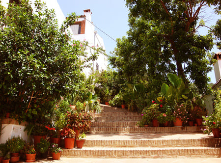 beautiful stears - greens, street, house, beautiful, stears, pot flowers