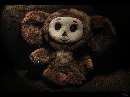 Cheburashka - cheburashka, photography, abstract, teddy