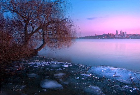 Prelude to spring - calm, dawn, shore, blue water, pink sky, lake, tree