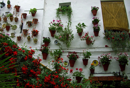 beautiful stears - red, pots, beautiful, wall, stears, house, flowers