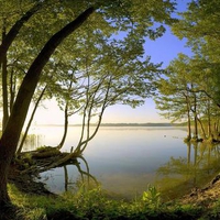 Peaceful pond